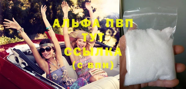 прущие грибы Пестово